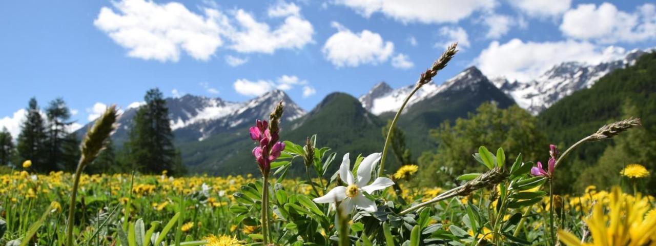 Nice Appt In Briancon Les Charmettes Esterno foto