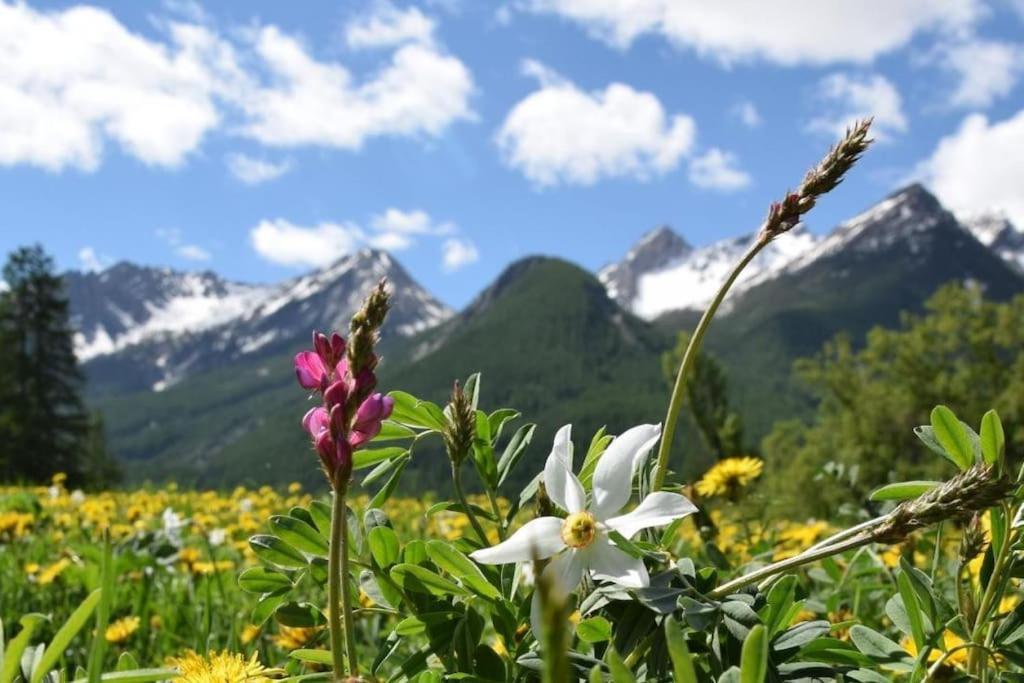 Nice Appt In Briancon Les Charmettes Esterno foto